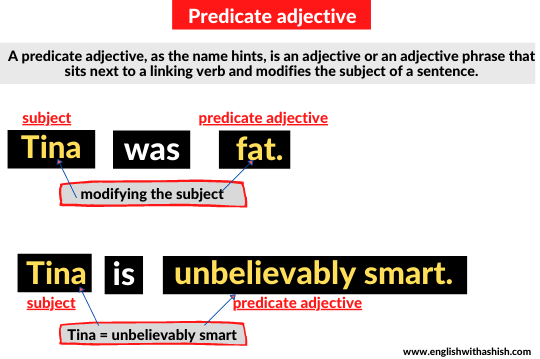 Predicate Noun And Predicate Adjective Examples